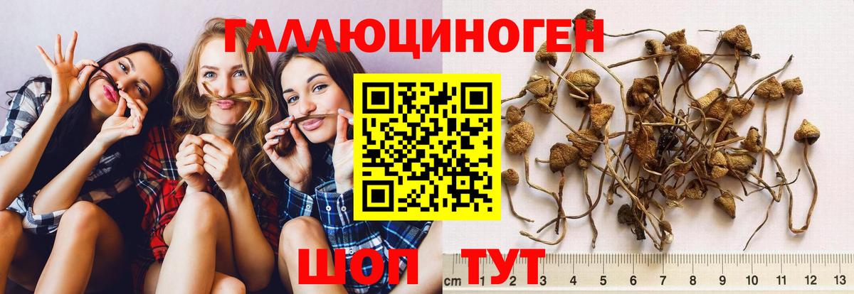 Нововоронеж  Галлюциногенные грибы ЛСД  Вход с VPN 