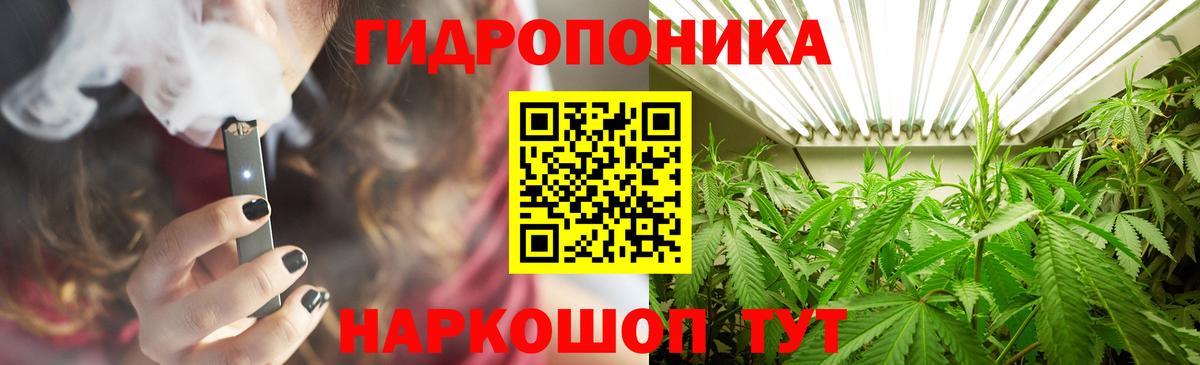 Шишки марихуана сатива Нововоронеж
